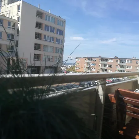 Ammophila 1 Egmond aan Zee